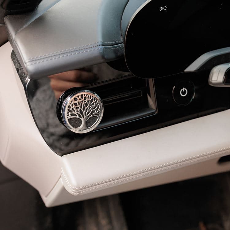 Auto-Diffusor groß – Bild 4