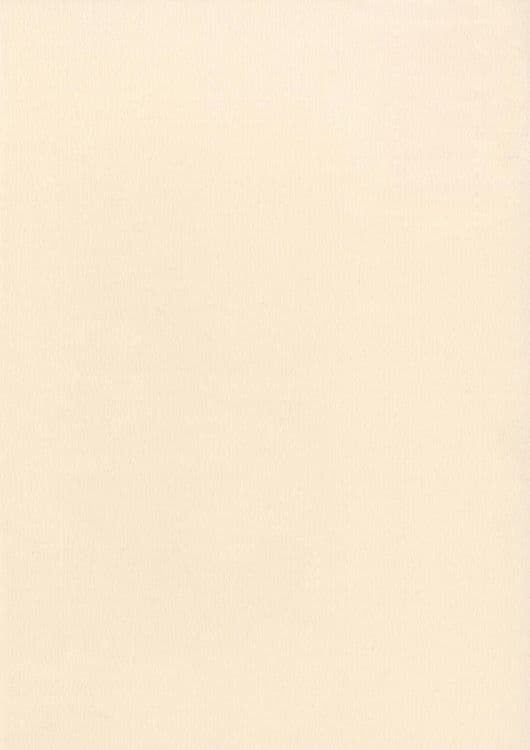 Papier A4 'Natur' 100gr (10 Stk.)