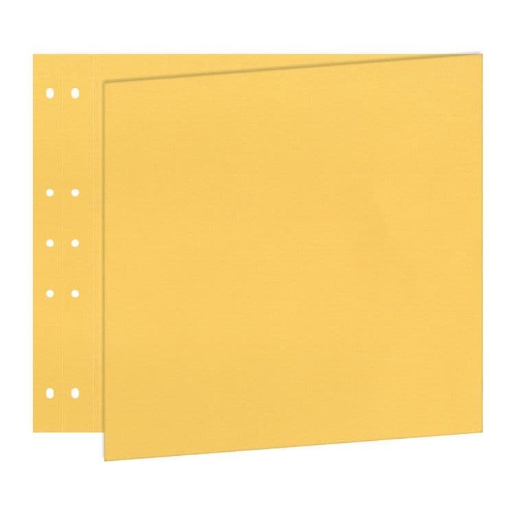 Reportage Seiten 30x60 'Vanille' (5 Stk.)