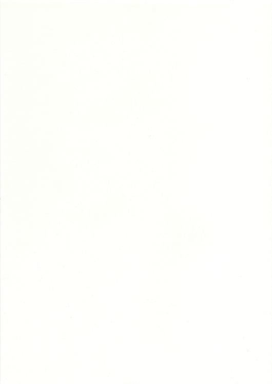 Papier A4 'Schneeweiß' 100gr (10 Stk.)