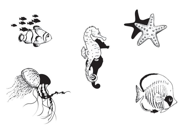 Stanzformen ‘Meeresfauna’ – Bild 2