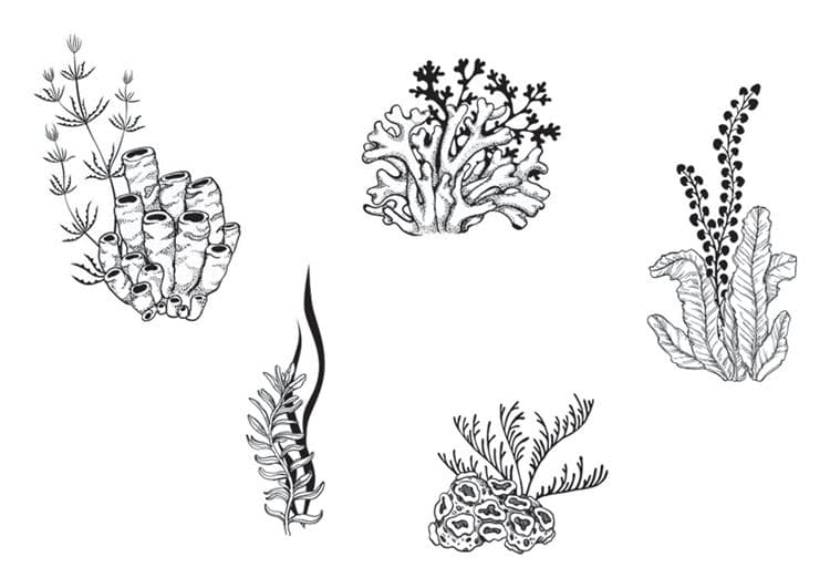 Stanzformen ‘Meeresgarten’ – Bild 2